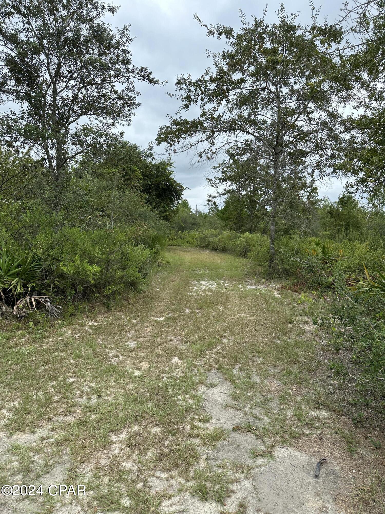 23125 Northwest Walter Potts Road Altha, FL 32421 - Photo 78 of 85