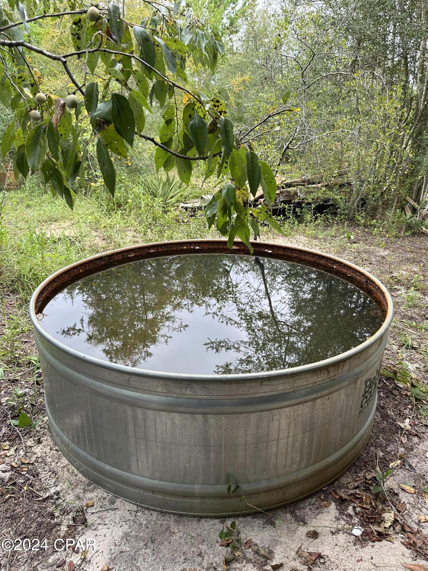 23125 Northwest Walter Potts Road Altha, FL 32421 - Photo 81 of 85