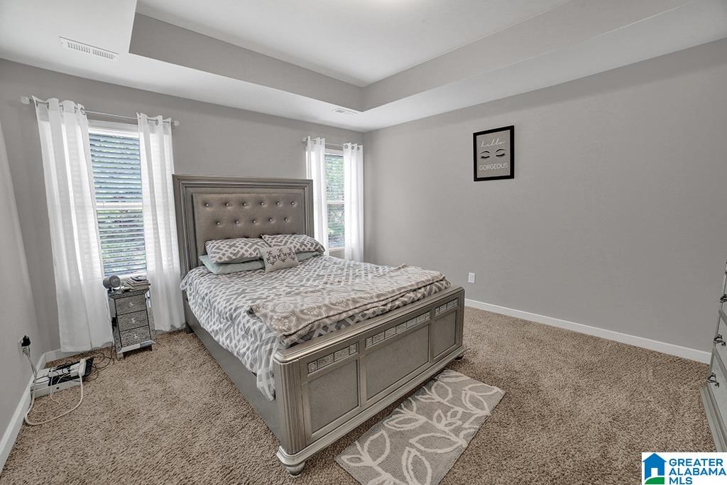 590 Briar Ridge Circle Odenville, AL 35120 - Photo 10 of 22