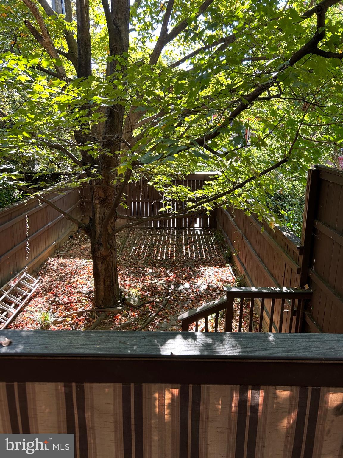 2352 Eutaw Place, Unit 1 Baltimore, MD 21217 - Photo 18 of 18