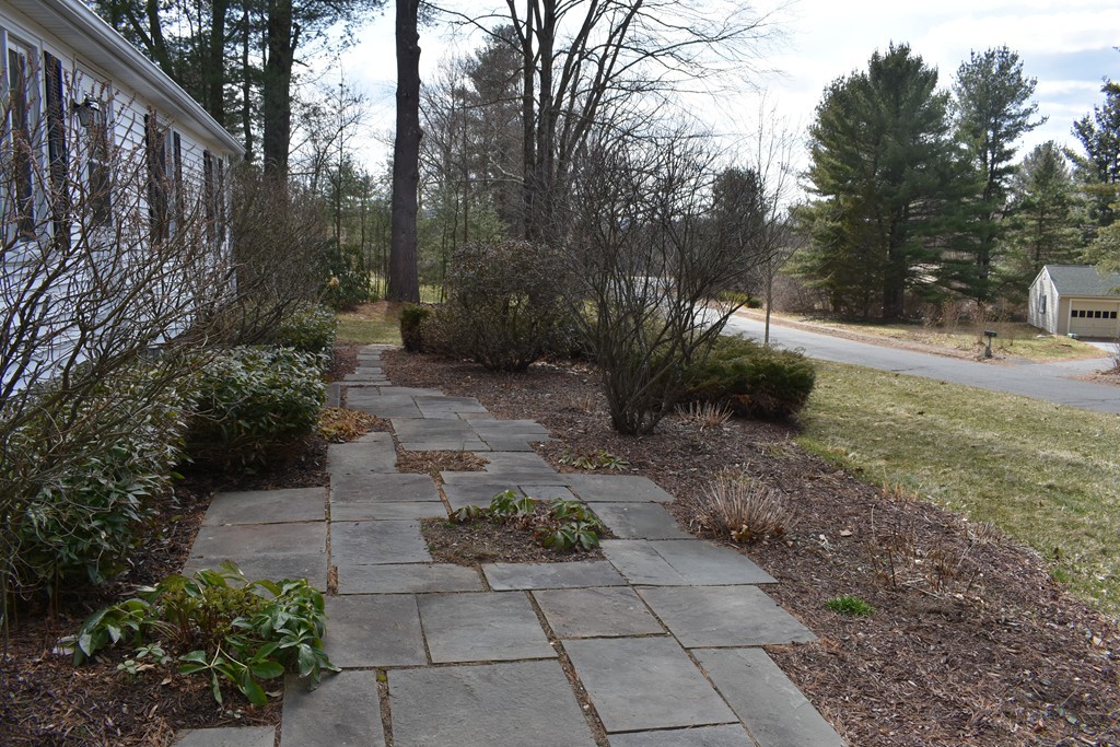 87 Logtown Road Amherst, MA 01002 - Photo 7 of 30 a view of a yard with plants and trees