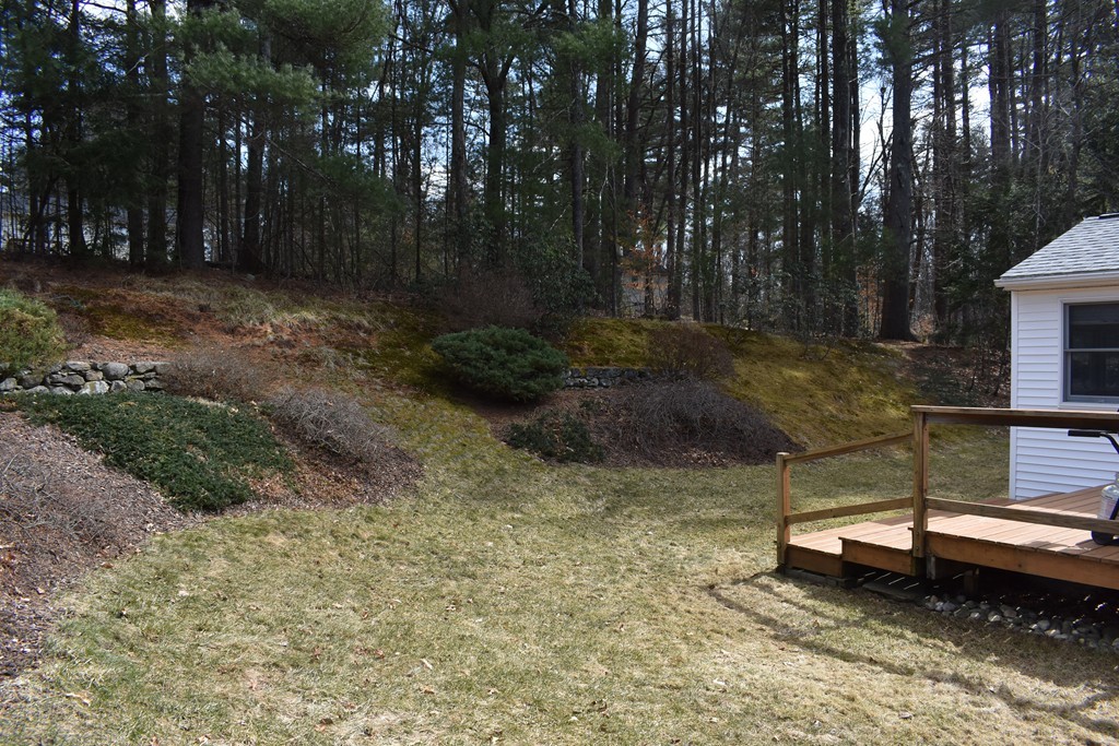 87 Logtown Road Amherst, MA 01002 - Photo 8 of 30 a backyard of a house with lots of green space
