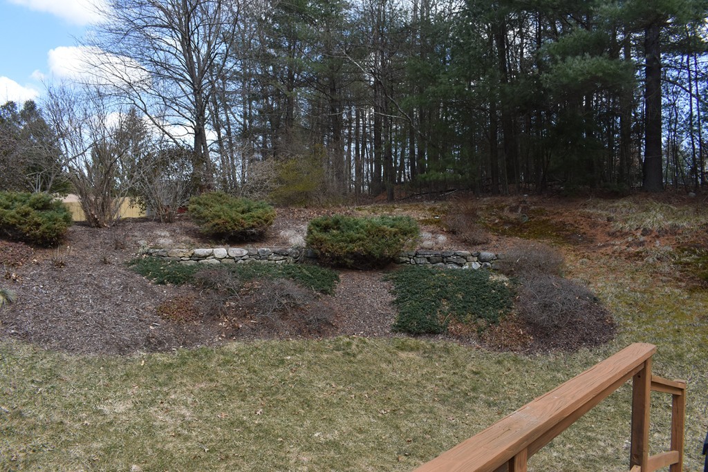 87 Logtown Road Amherst, MA 01002 - Photo 9 of 30 a view of a yard with plants and trees