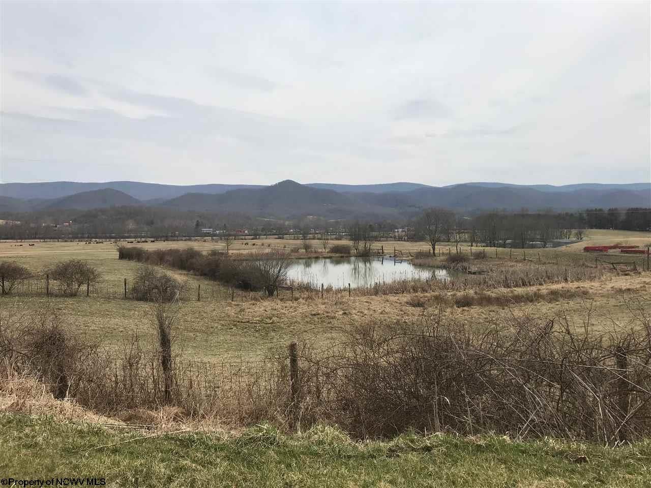 11250 Georgetown Road Beverly, WV 26253 - Photo 3 of 9 Gallery Image 3