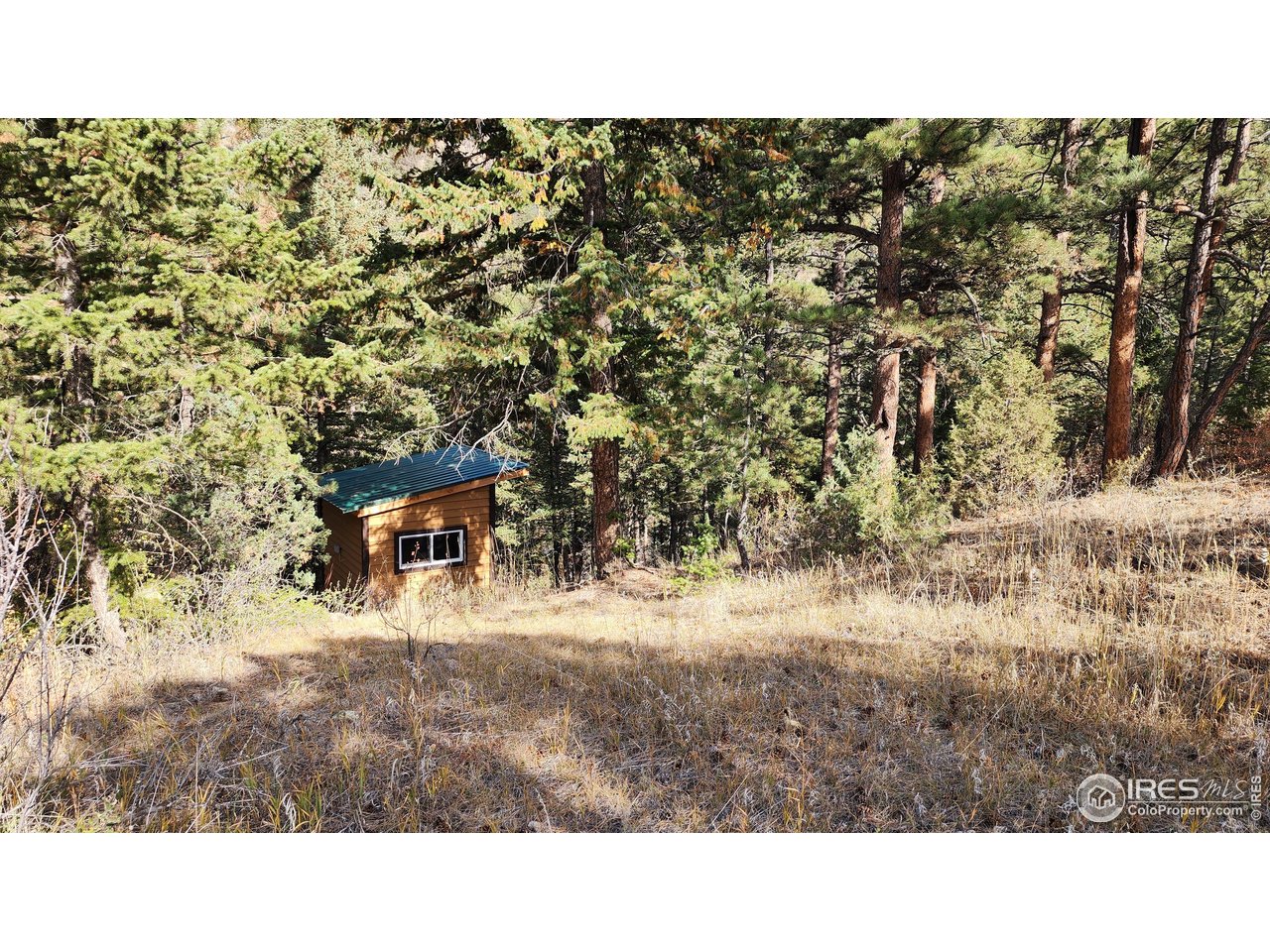 84 Copper Hill Road Drake, CO 80515 - Photo 23 of 28