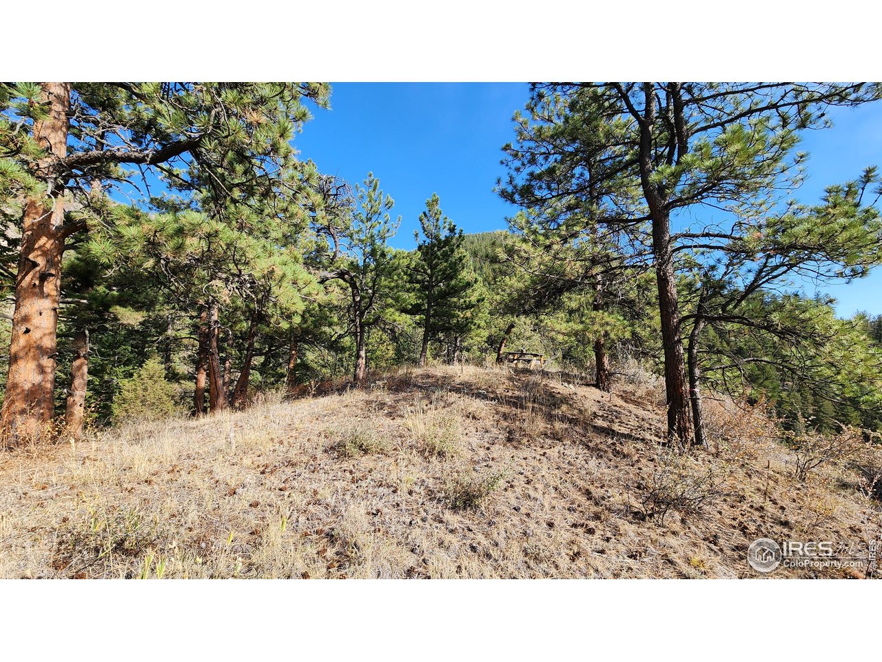 84 Copper Hill Road Drake, CO 80515 - Photo 4 of 28