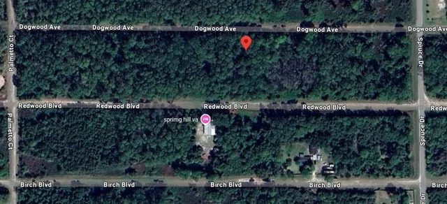 $8,414 | 423 Dogwood Avenue, Georgetown, FL 32139