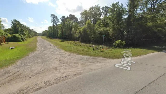 a park with trees in the background