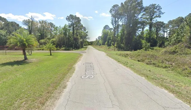 a view of park with large trees