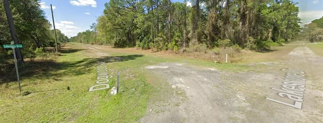 a view of yard with green space