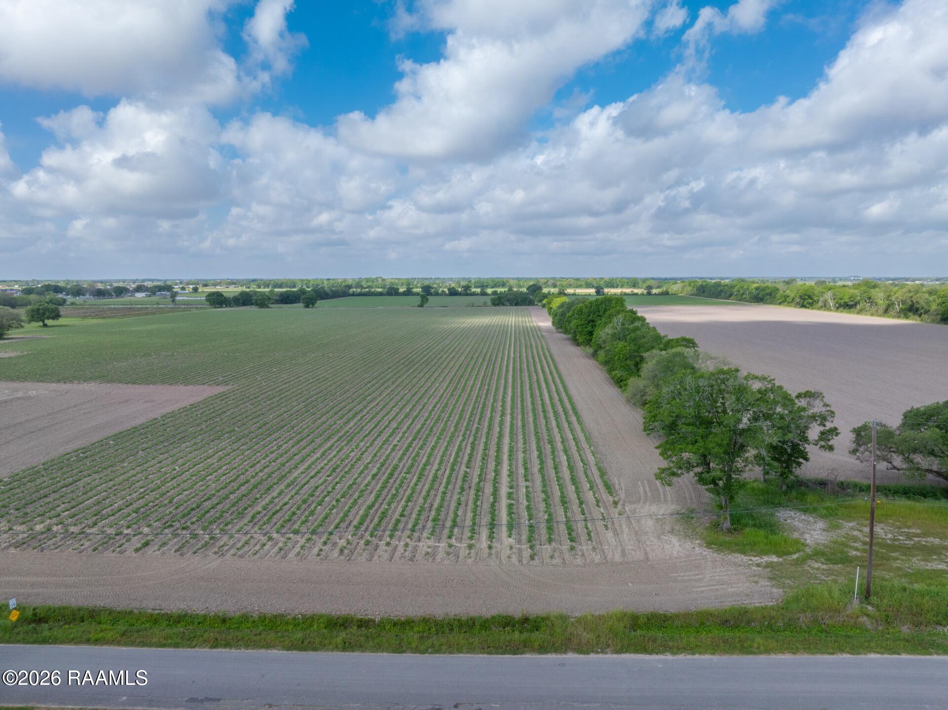 Tbd Tbd Leroy Maurice, LA 70555 - Photo 3 of 15 TBDLeroy-2