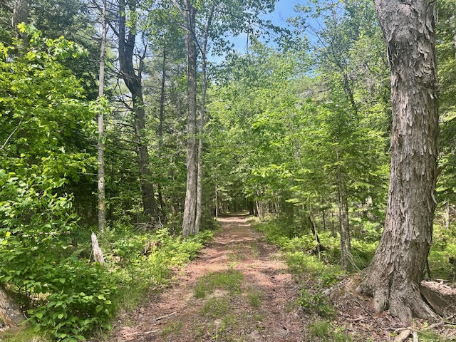 1 West Waldo Road Belfast, ME 04915 - Photo 13 of 13