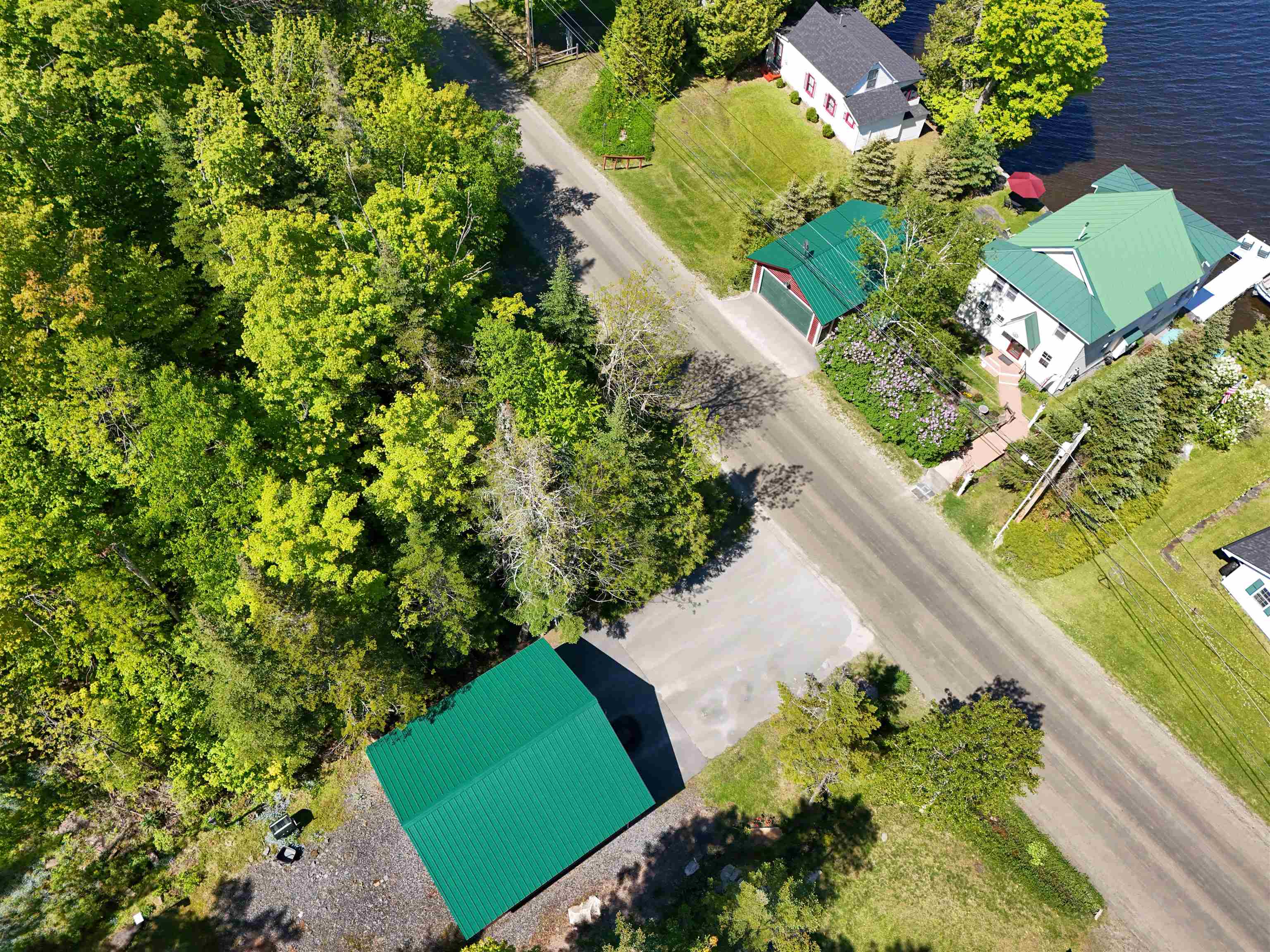 1559 West Shore Road Cabot, VT 05647 - Photo 4 of 60