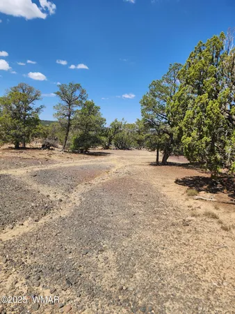 $21,500 | 15 County Road, Unit 2, Concho, AZ 85924