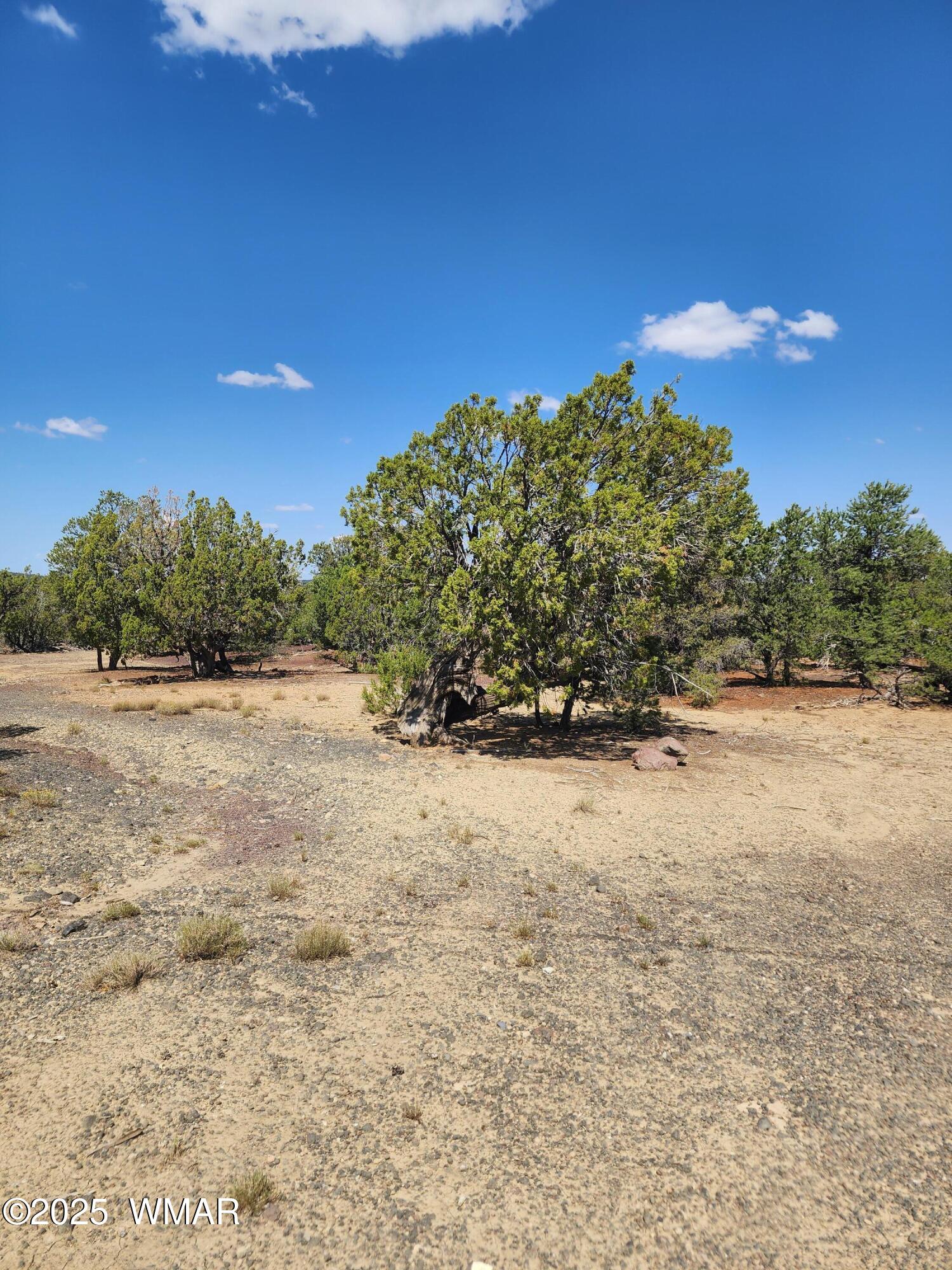 15 County Road, Unit 2 Concho, AZ 85924 - Photo 2 of 7 20250821_103927
