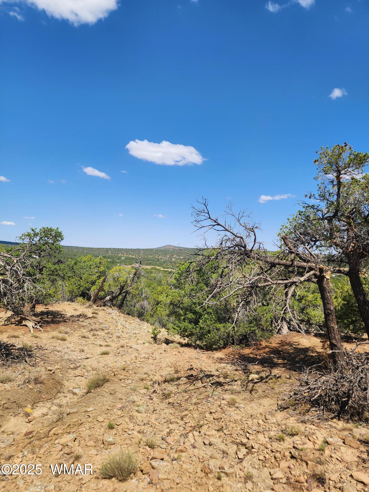 15 County Road, Unit 2 Concho, AZ 85924 - Photo 4 of 7 20250821_104058