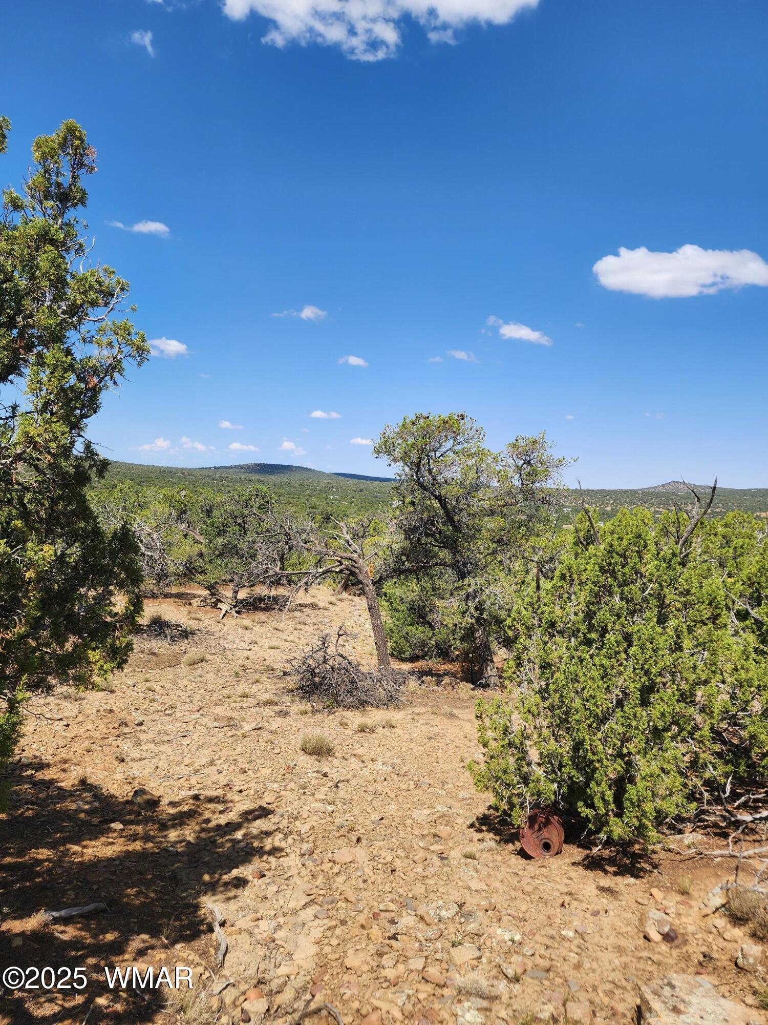 15 County Road, Unit 2 Concho, AZ 85924 - Photo 5 of 7 20250821_104036