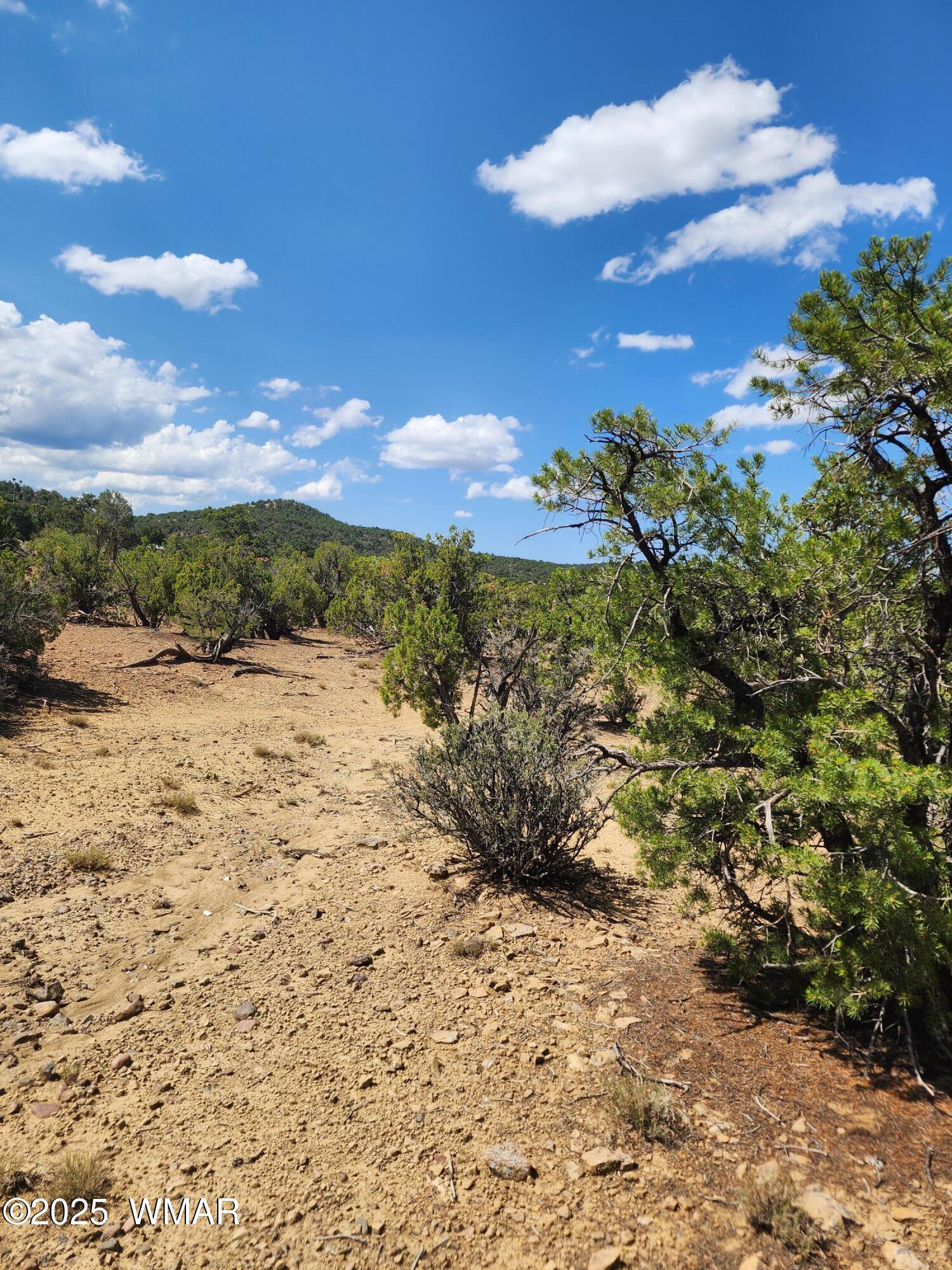 15 County Road, Unit 2 Concho, AZ 85924 - Photo 6 of 7 20250821_104141