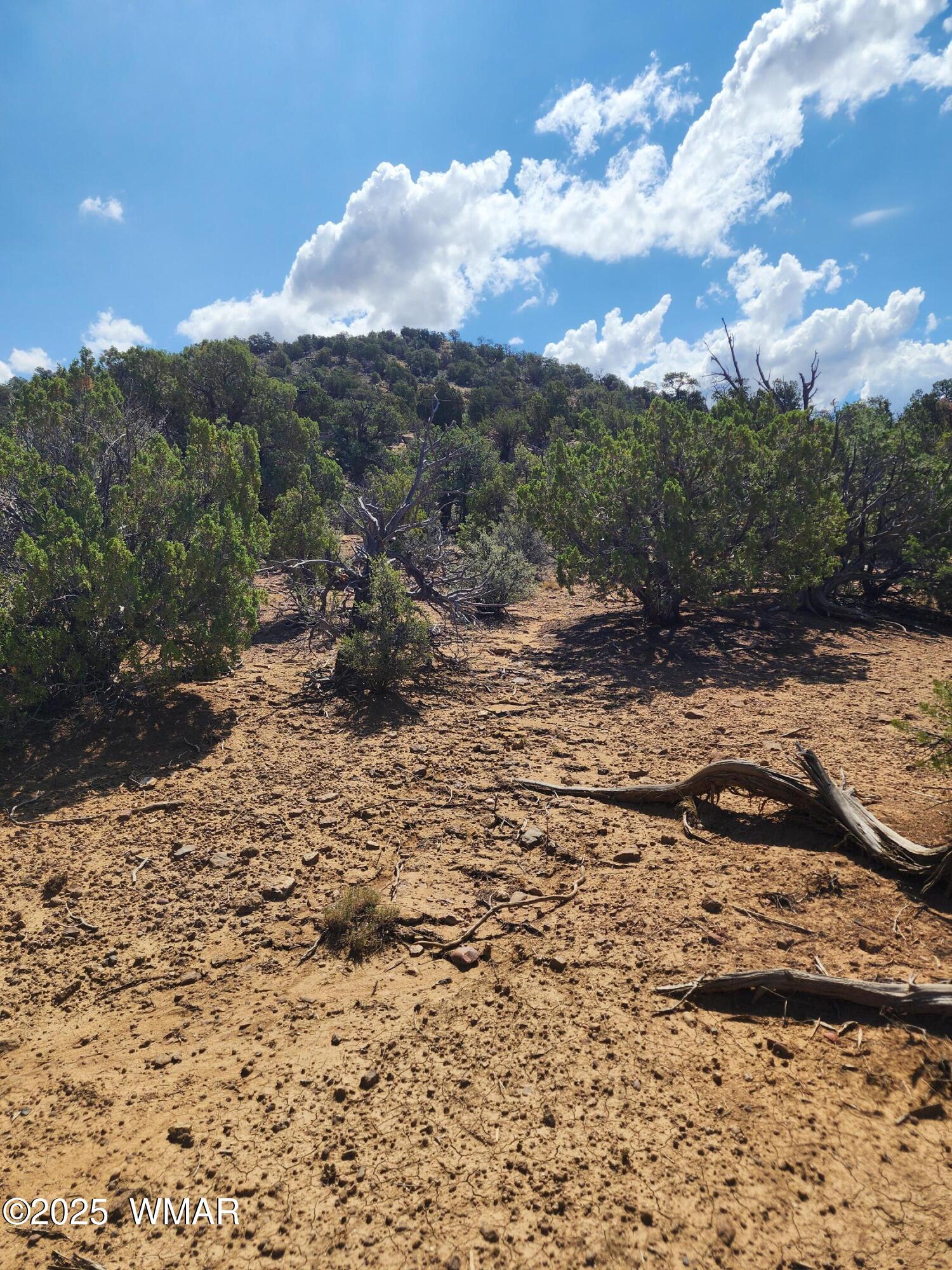 15 County Road, Unit 2 Concho, AZ 85924 - Photo 7 of 7 20250821_104211