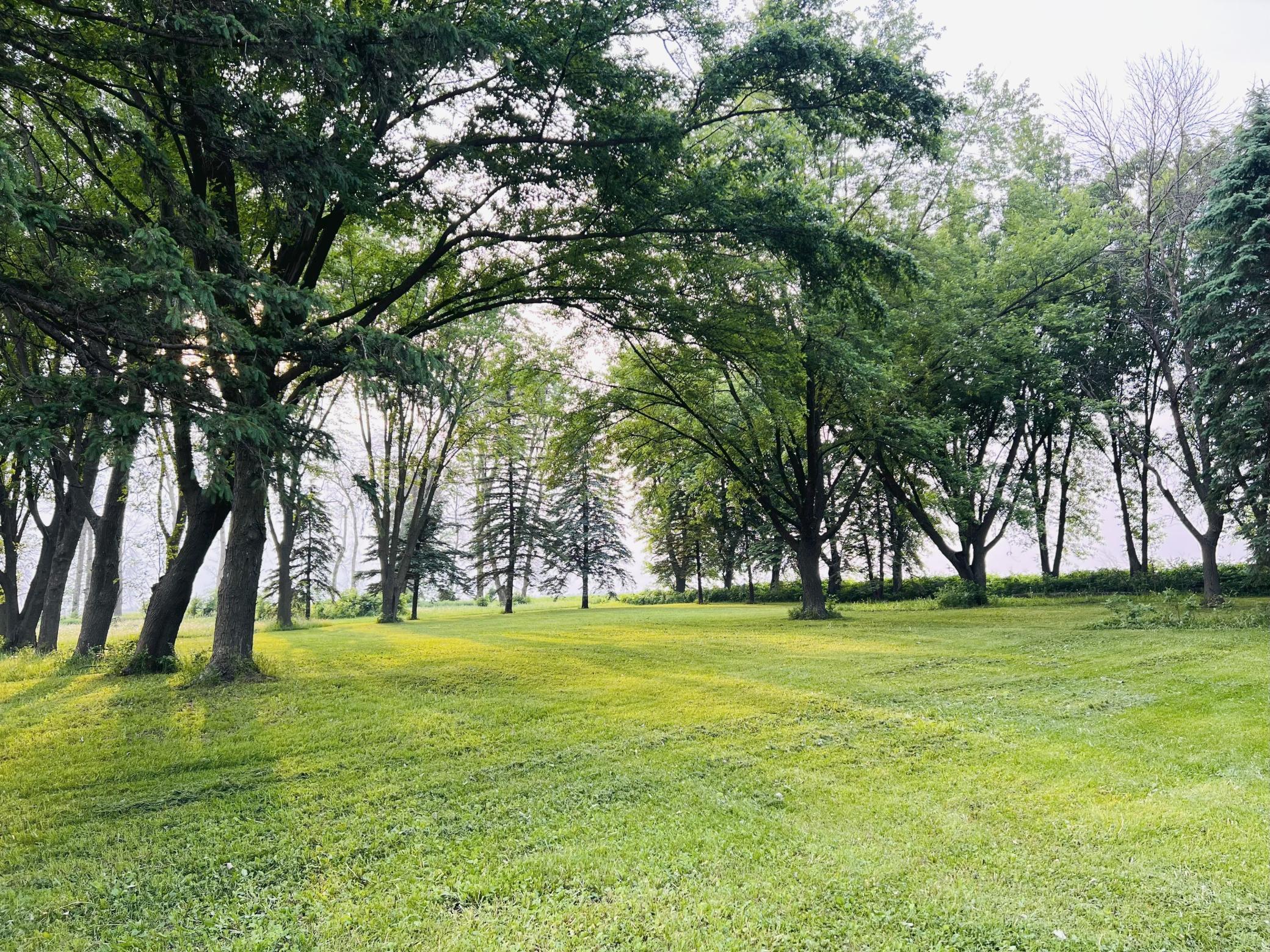 75863 305 Street Racine, MN 55967 - Photo 36 of 64