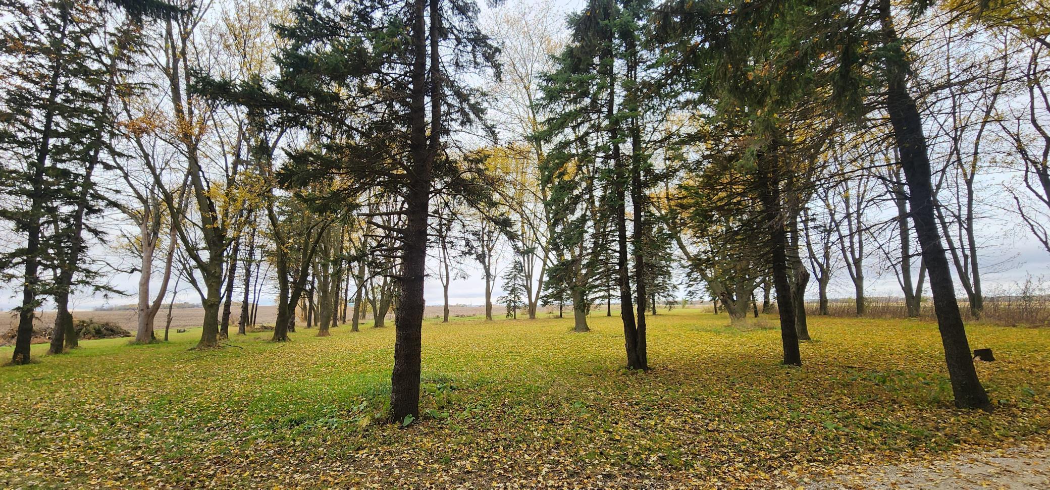 75863 305 Street Racine, MN 55967 - Photo 5 of 64