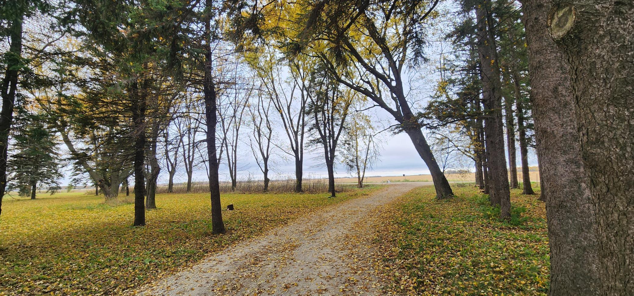 75863 305 Street Racine, MN 55967 - Photo 63 of 64