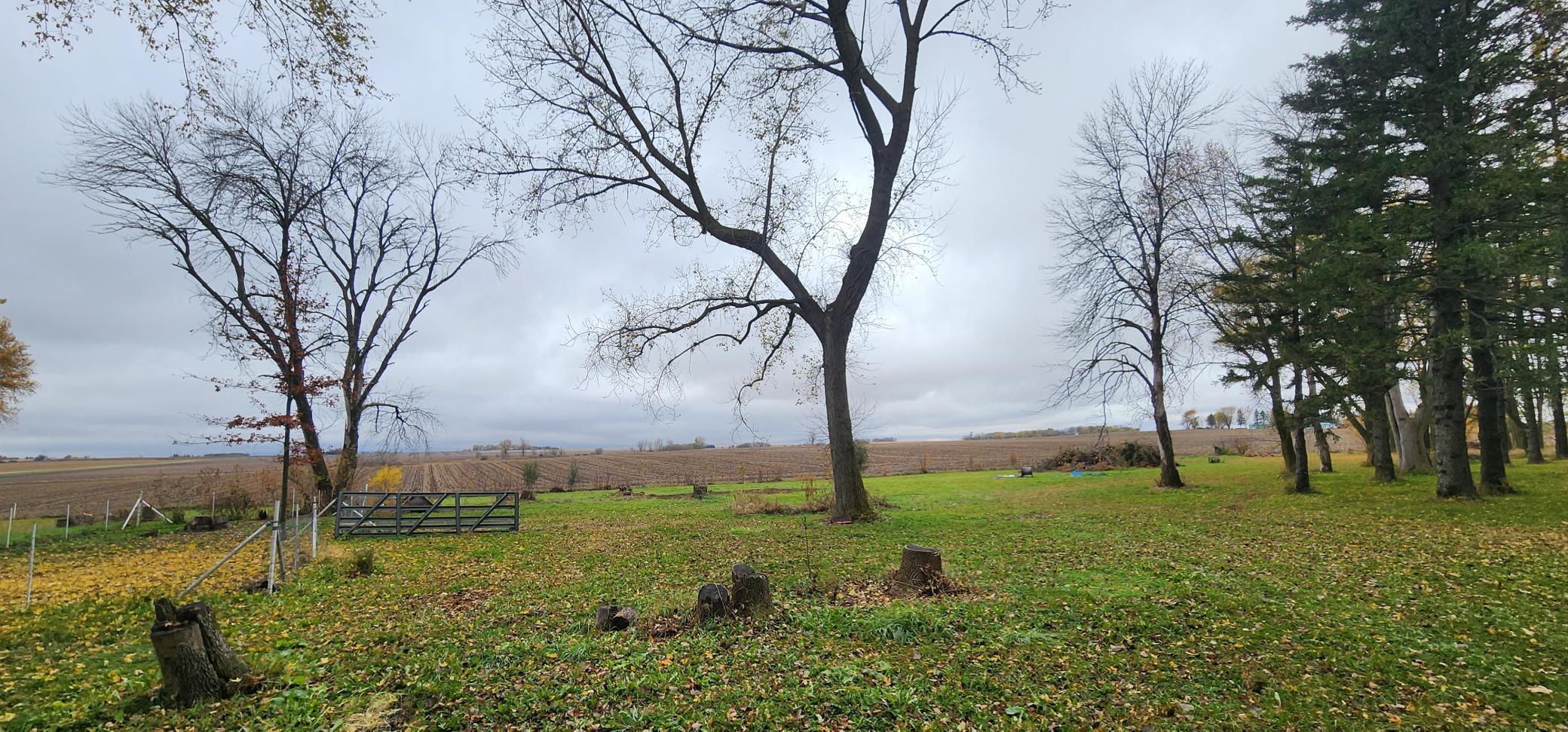 75863 305 Street Racine, MN 55967 - Photo 64 of 64