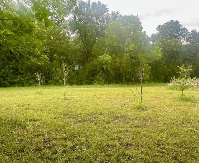 1229 Epps Road Palmer, TX 75152 - Photo 30 of 32