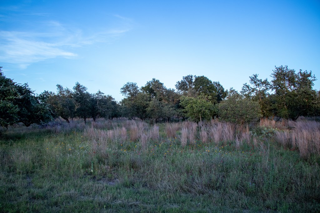 Lot #9 Slate Rock Road, Unit 9 Fredericksburg, TX 78624 - Photo 3 of 16
