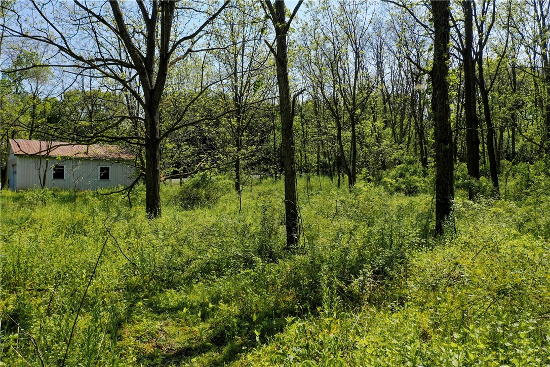 850 Davy Road Torrey, NY 14527 - Photo 11 of 22