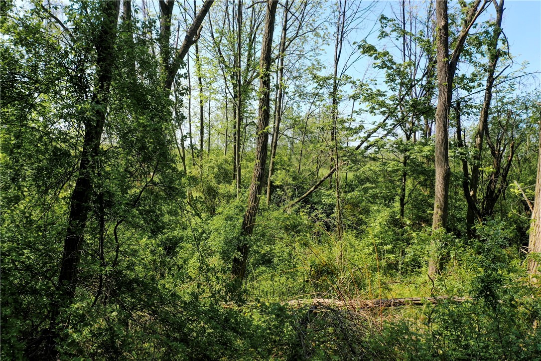 850 Davy Road Torrey, NY 14527 - Photo 15 of 22