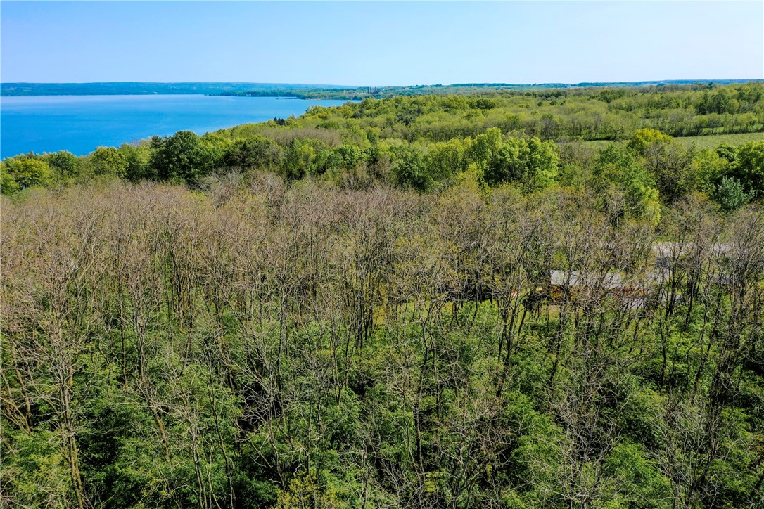 850 Davy Road Torrey, NY 14527 - Photo 17 of 22