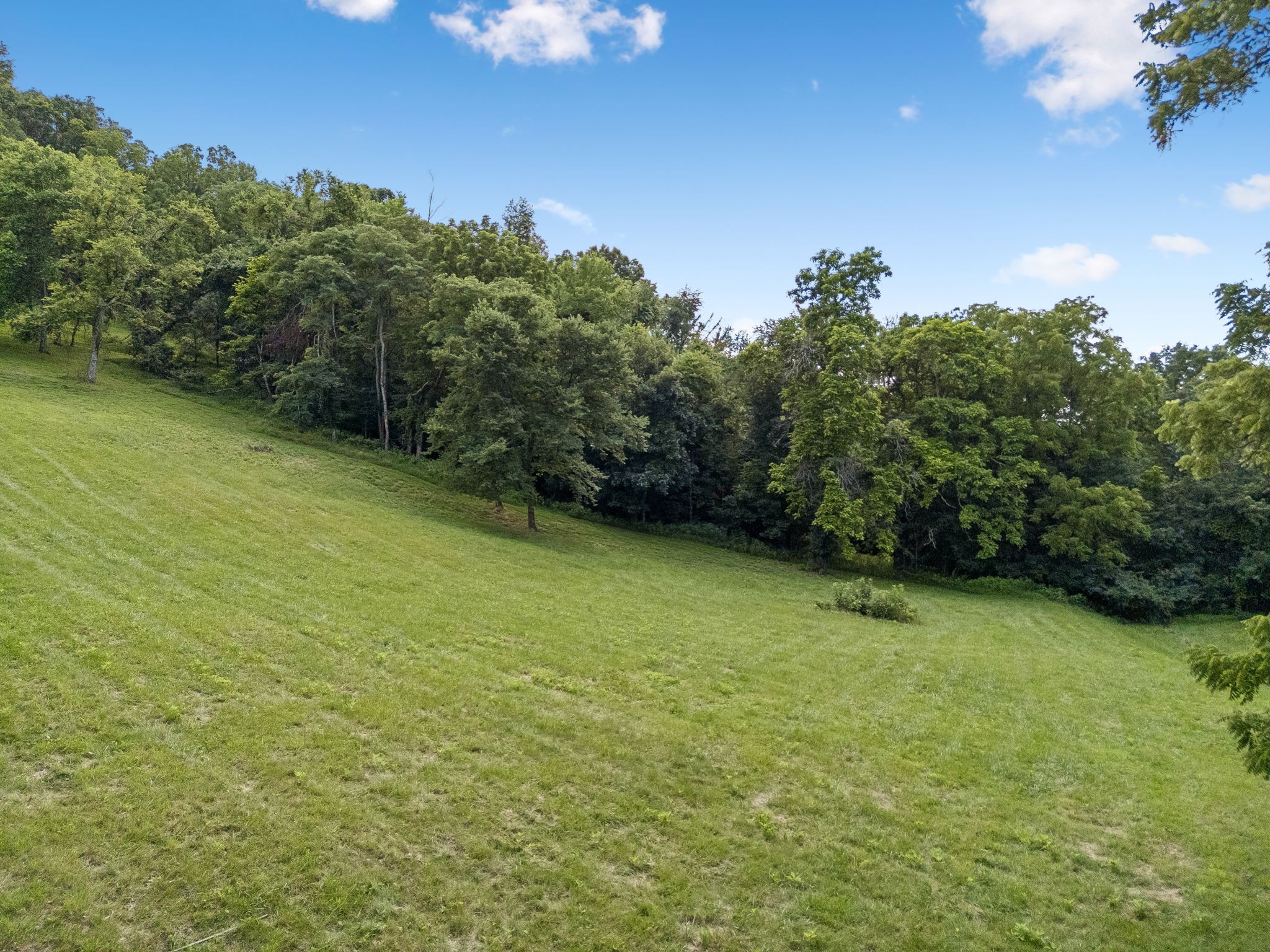 2268 North Berrys Chapel Road Franklin, TN 37069 - Photo 8 of 16 a view of a field with an trees in the background