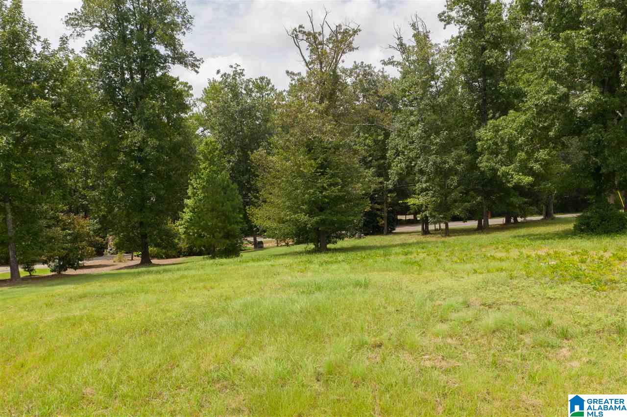 2615 Dolly Ridge Road, Unit 2615 Birmingham, AL 35243 - Photo 4 of 10