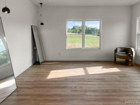 679 Jonathan Road Hannibal, MO 63401 - Photo 21 of 39