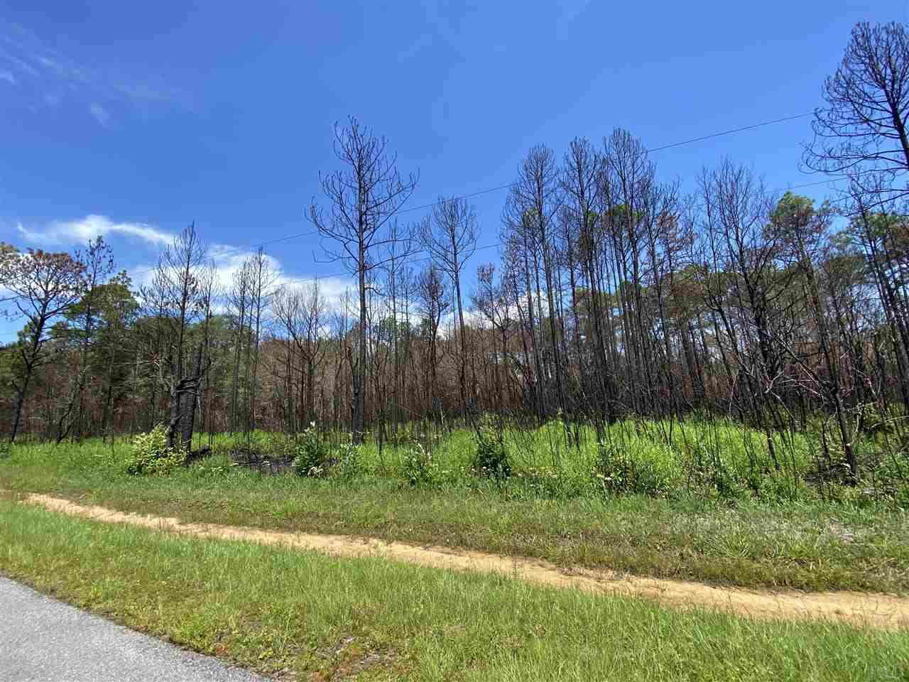 Xxx Leepard Road Milton, FL 32583 - Photo 1 of 5 Gallery Image 1