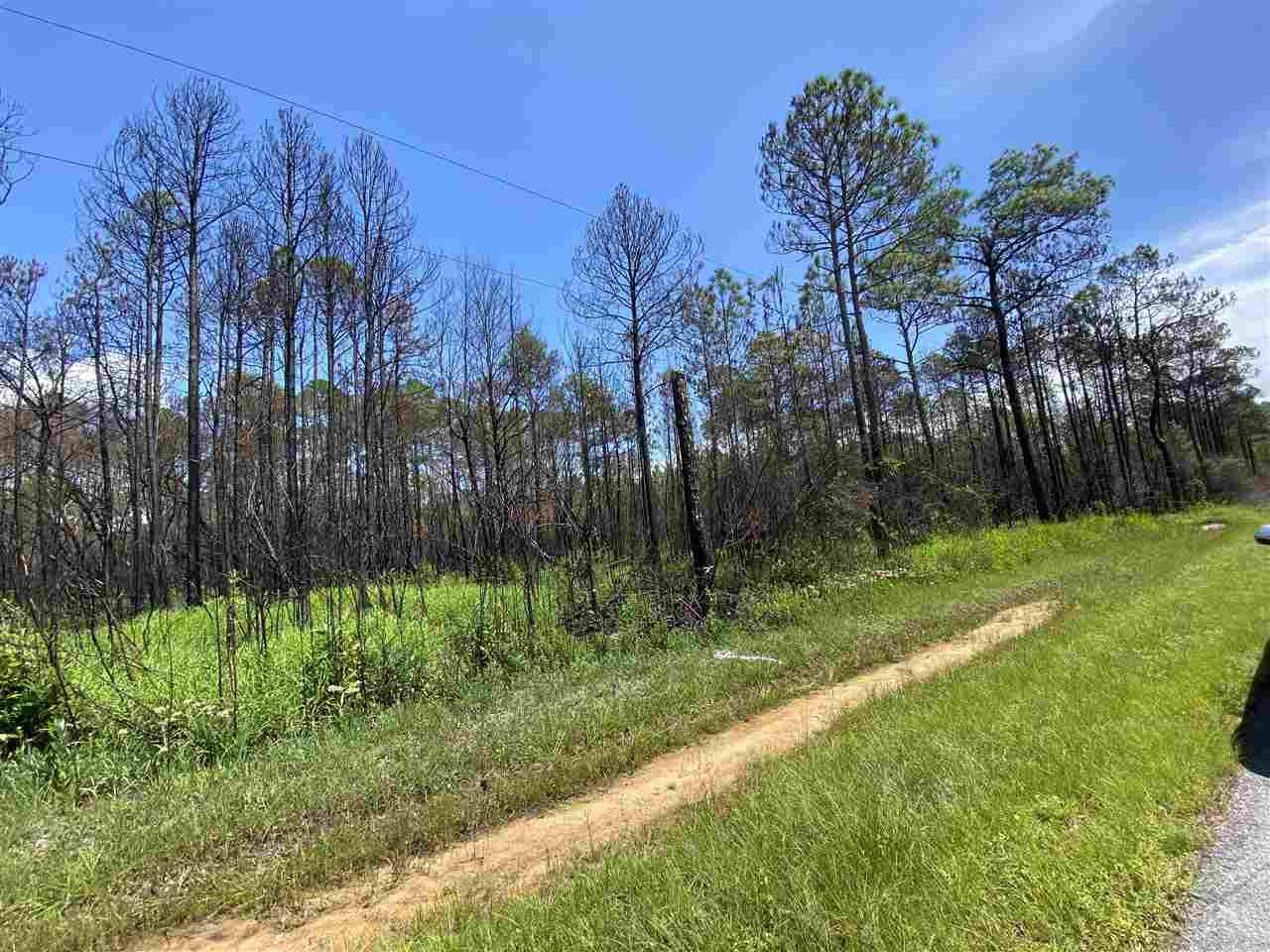 Xxx Leepard Road Milton, FL 32583 - Photo 3 of 5 Gallery Image 3
