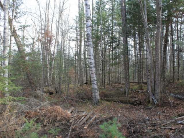 On On Cth G, Unit LT 9 Mercer, WI 54547 - Photo 7 of 15 Gallery Image 7