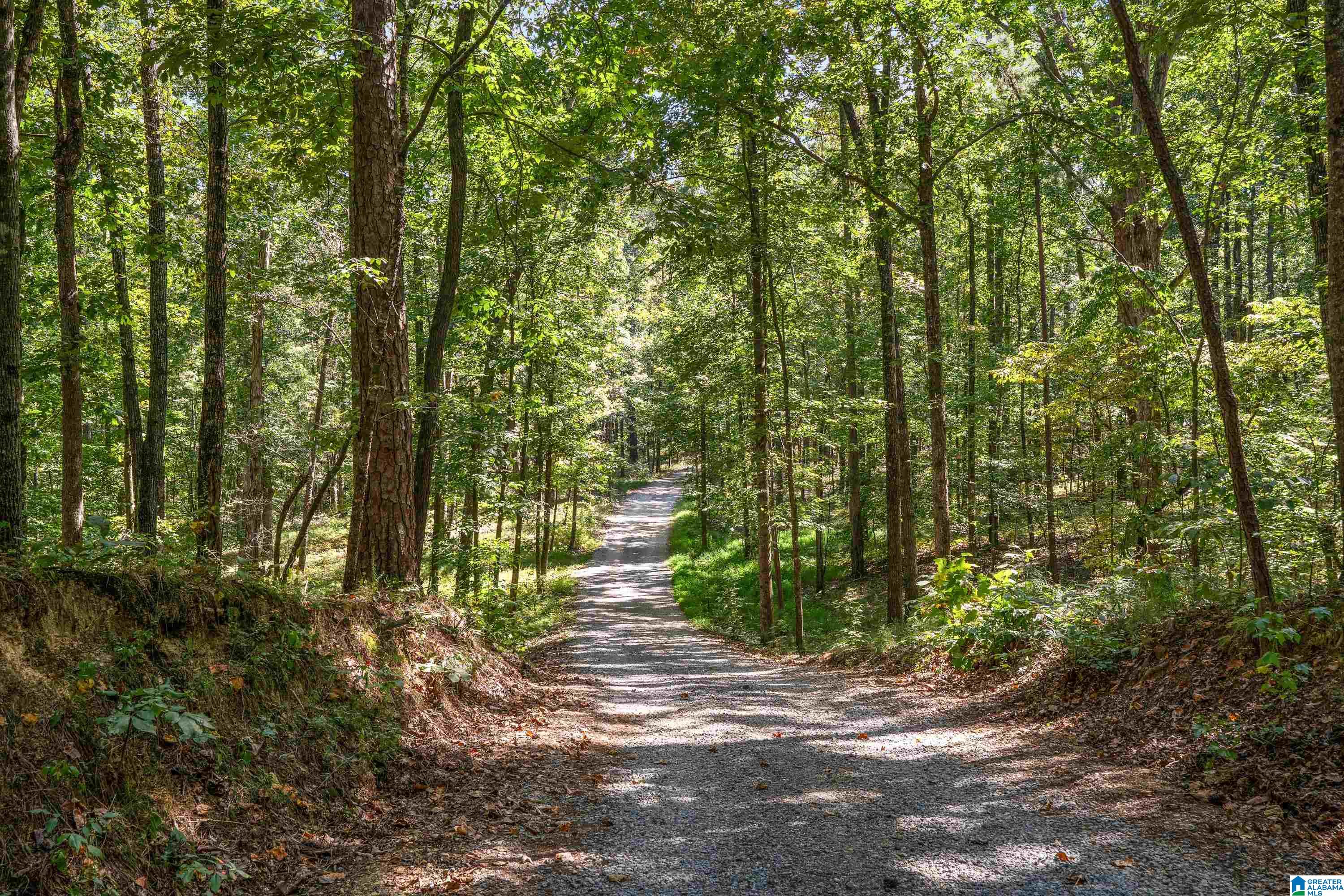 9215 Bear Creek Road Sterrett, AL 35147 - Photo 99 of 99
