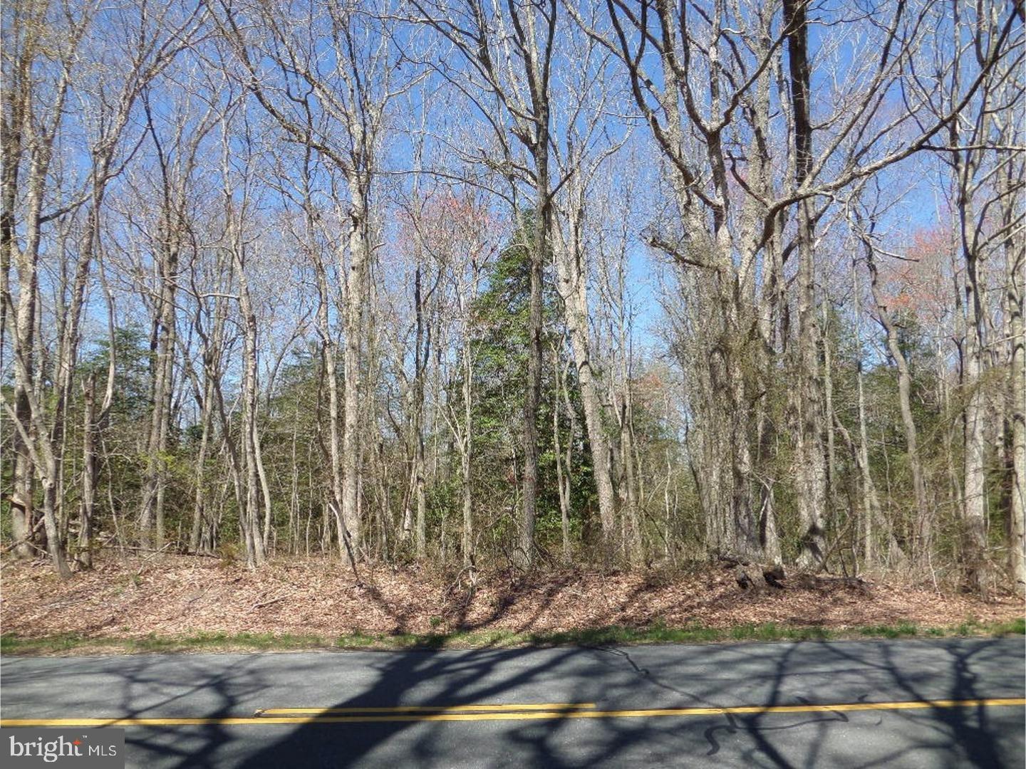 Lot 1 Reynolds Pond Road Georgetown, DE 19947 - Photo 2 of 16 Gallery Image 2