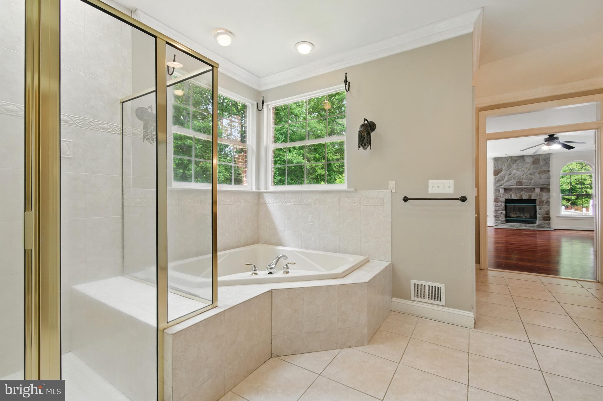 1002 Covington Way Annapolis, MD 21401 - Photo 20 of 78 a bathroom with a bathtub and a shower