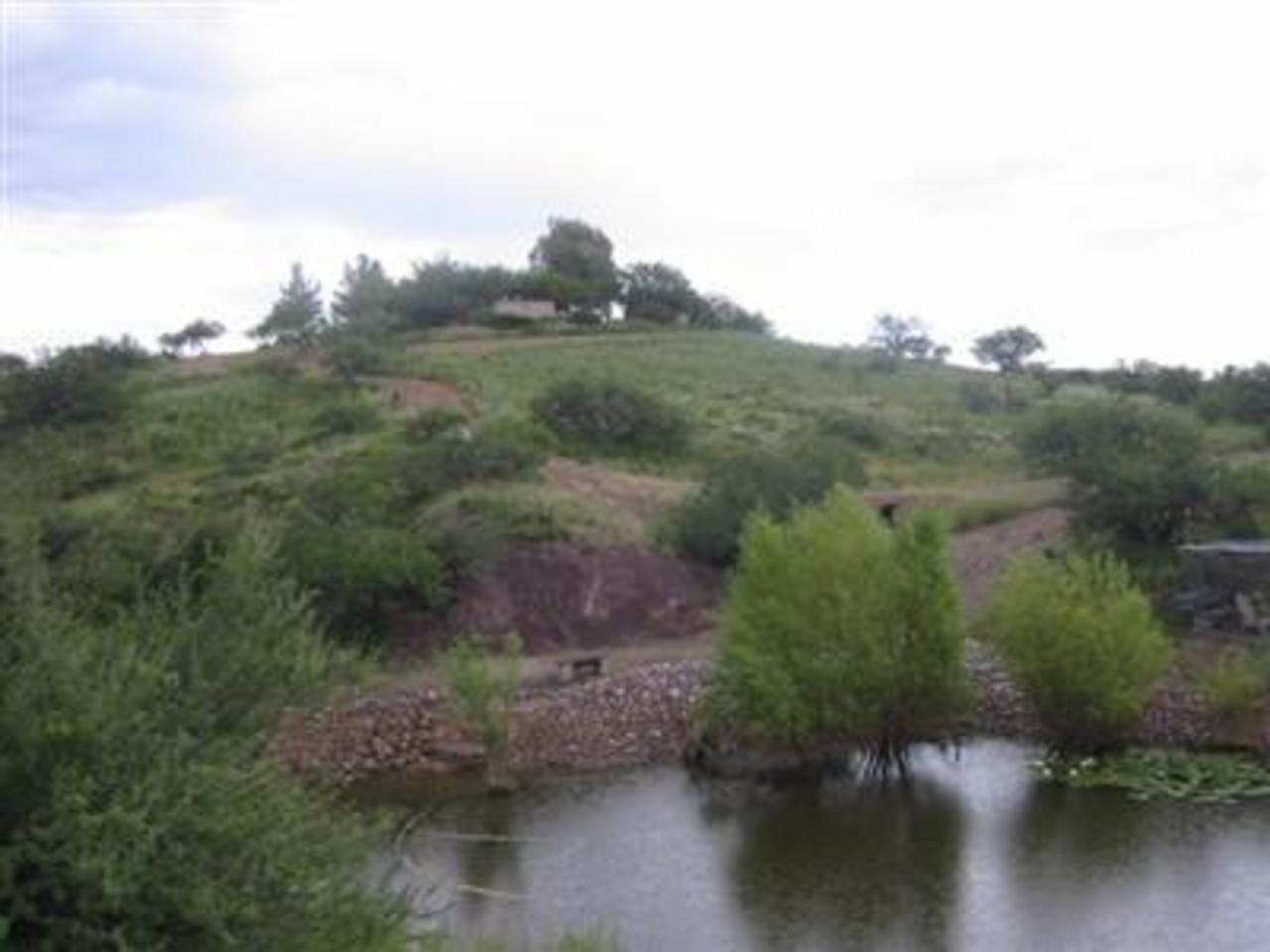 37450 South Ruby Road Arivaca, AZ 85601 - Photo 2 of 6