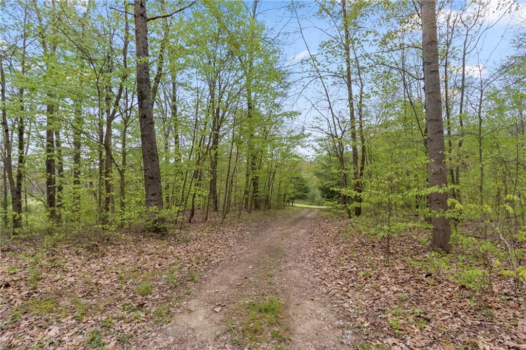4275 Webber Hill Road Trafalgar, IN 46181 - Photo 45 of 60 Gallery Image 45