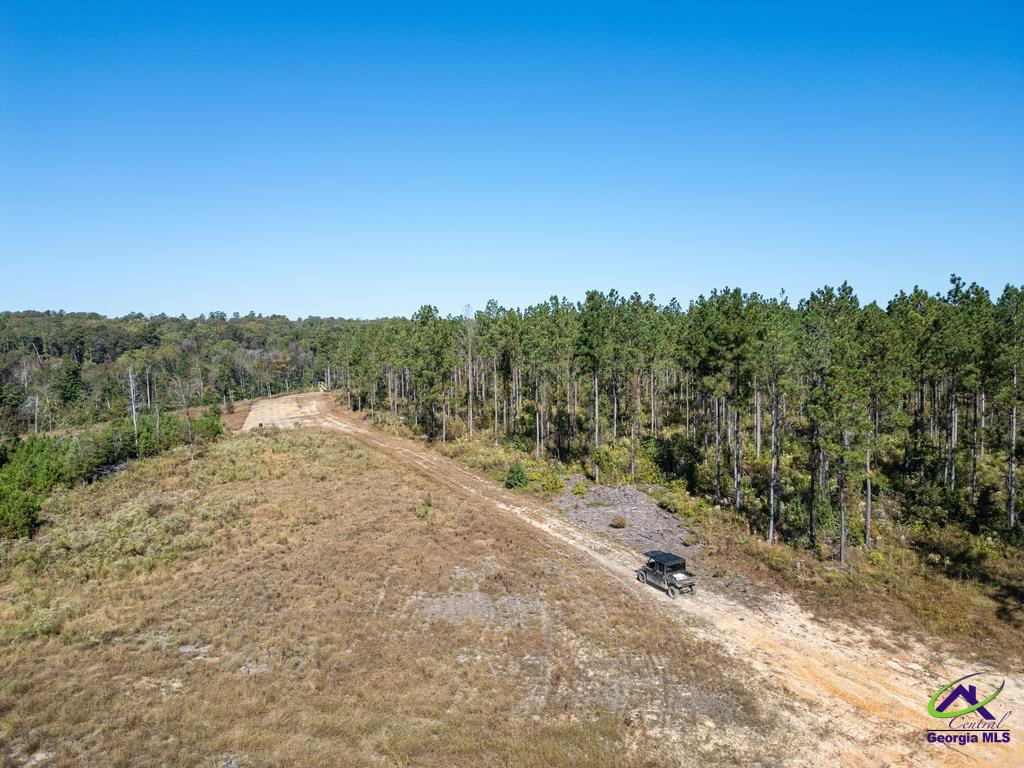 Ohp Dominy Road Toomsboro, GA 31090 - Photo 7 of 24