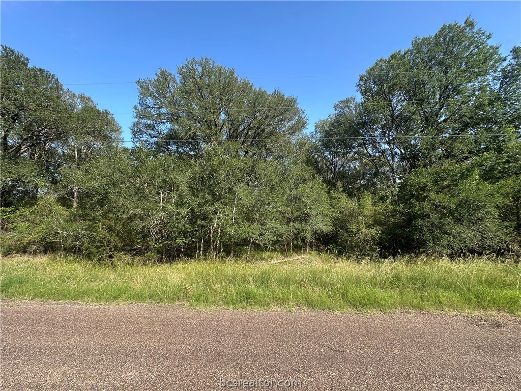 a view of a yard and a lake view