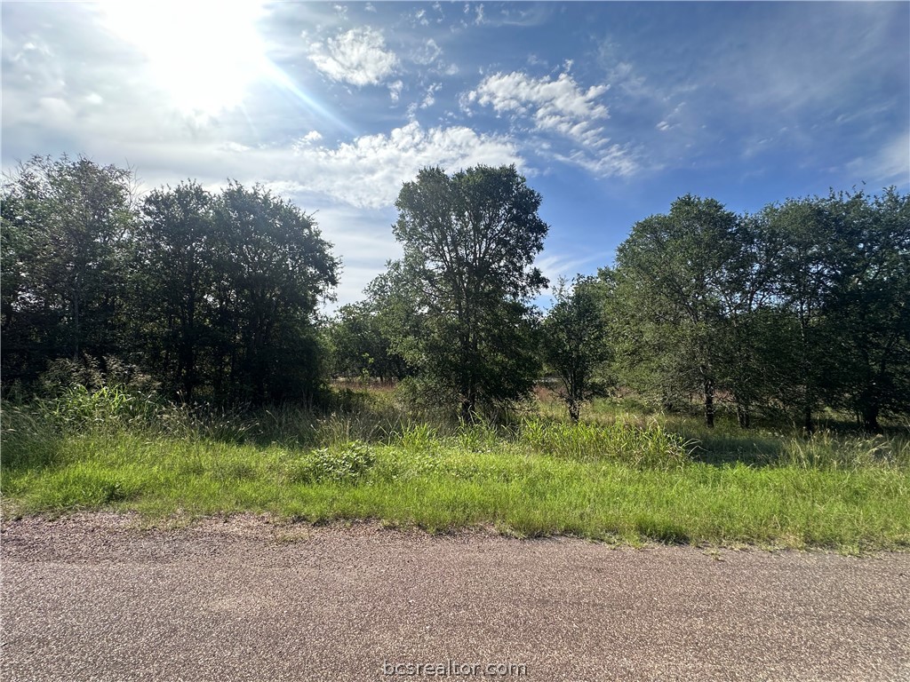 362 Indian Ridge Drive Somerville, TX 77879 - Photo 2 of 8 a view of a yard with flower plants and wooden fence