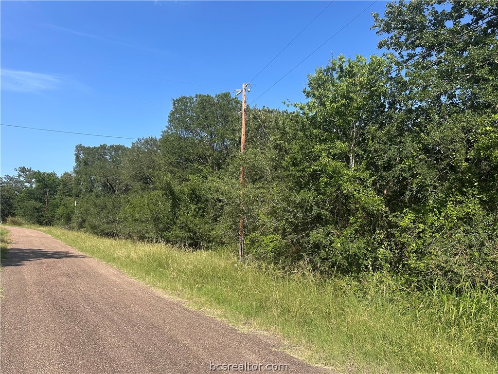 362 Indian Ridge Drive Somerville, TX 77879 - Photo 4 of 8 a view of a road with a yard