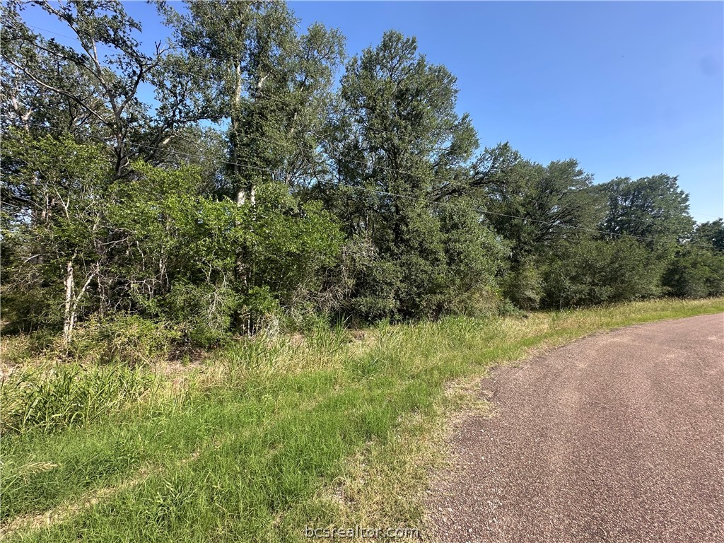 362 Indian Ridge Drive Somerville, TX 77879 - Photo 7 of 8 a view of a yard with a tree