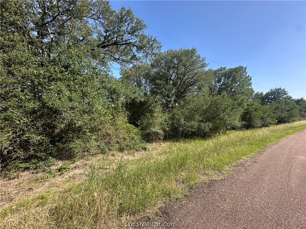 362 Indian Ridge Drive Somerville, TX 77879 - Photo 8 of 8 a view of a yard with plants and a tree