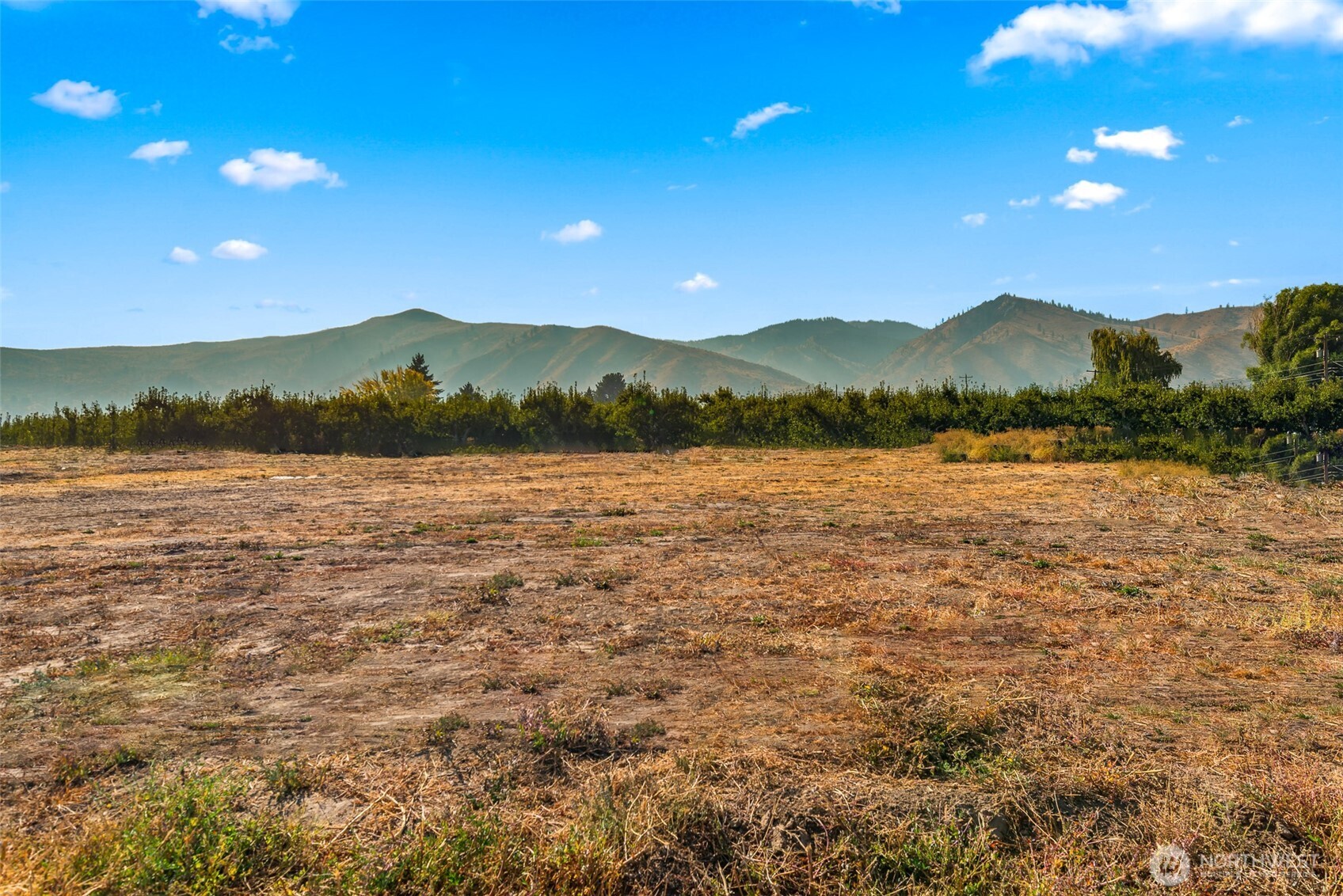 4000 Pioneer Way Monitor, WA 98836 - Photo 7 of 13 a view of lake with mountain